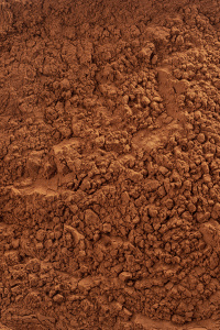 Какао-порошок Cacao Barry Plein Arome