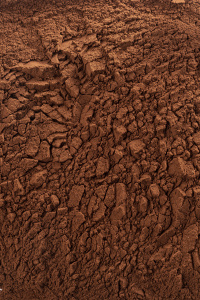 Какао-порошок Cacao Barry EXTRA BRUTE