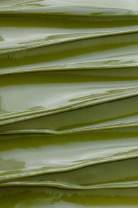 Паста фисташковая ОРЕХПРОМ 617 100 грамм